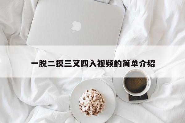 一脱二摸三叉四入视频的简单介绍